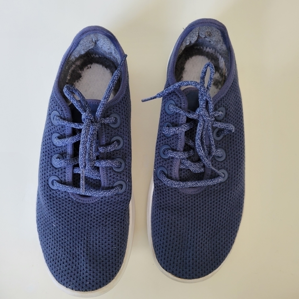 Allbirds Tree Runners in Blue